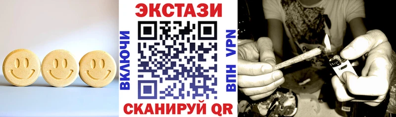 Купить закладки  Белинский  Ecstasy круглые 