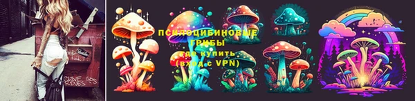 mdpv Козельск