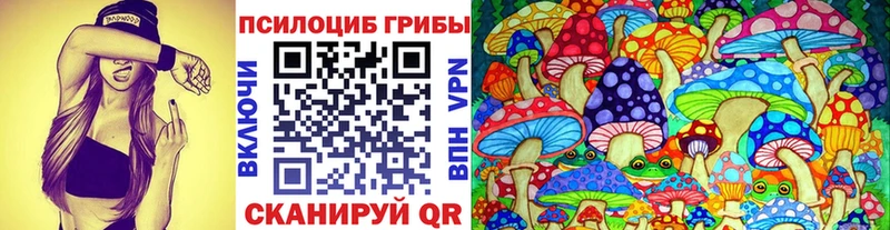 Купить  Белинский  Галлюциногенные грибы MAGIC MUSHROOMS 